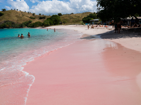 Pink beach and crystal clear water. There is a green hill in the background. 