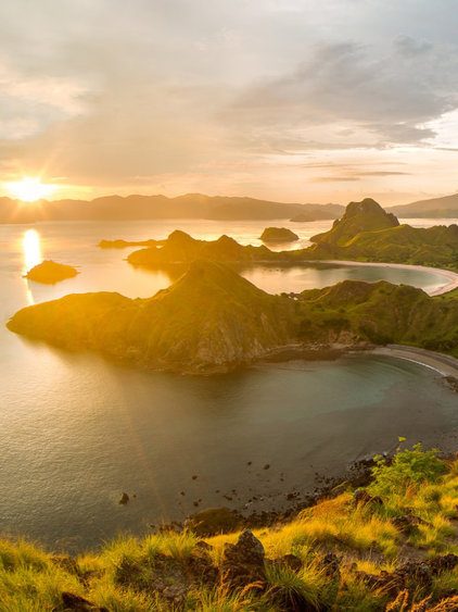 Explore the fauna at Komodo Nationalpark