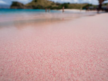 A happy tourist couple takes a couple picture at the romantic Pink beach. 